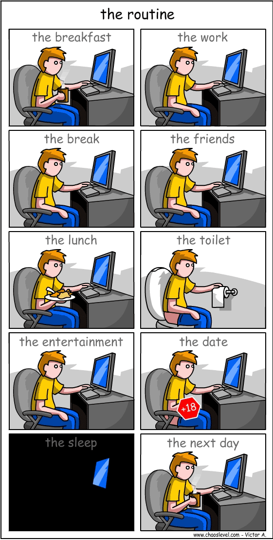 Het leven met internet