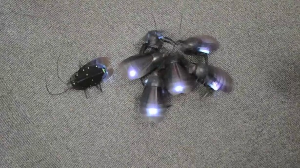 Robot-kakkerlak