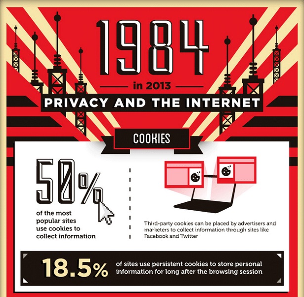 Infographic: privacy op het internet