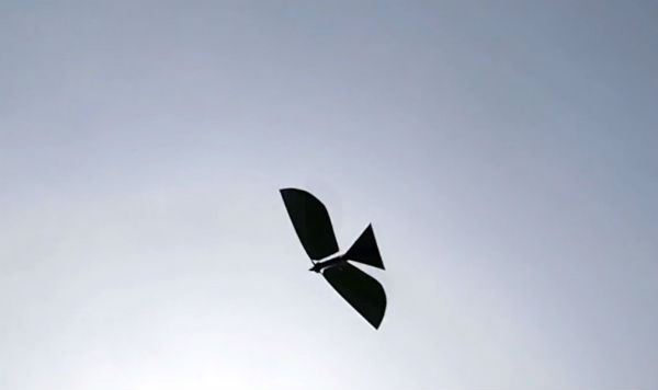 Robo Raven vliegt als een echte vogel
