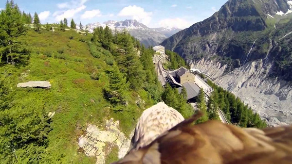 Geniaal idee: een GoPro camera vastbinden aan een adelaar