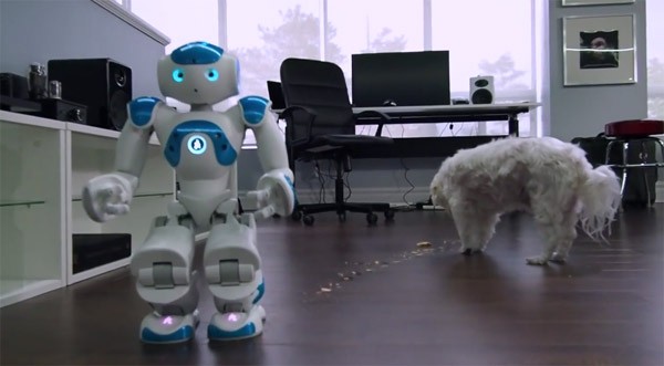 Slecht idee: een robot die een hond probeert te voeren