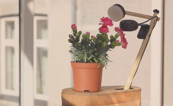 selfie-plant-video