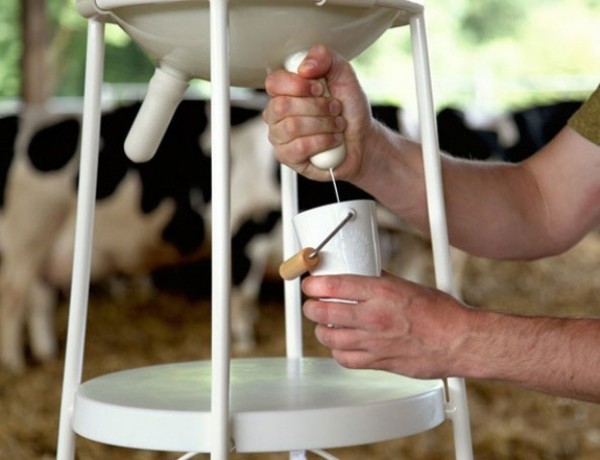 Vache à Lait: de raarste manier om een glas melk in te schenken