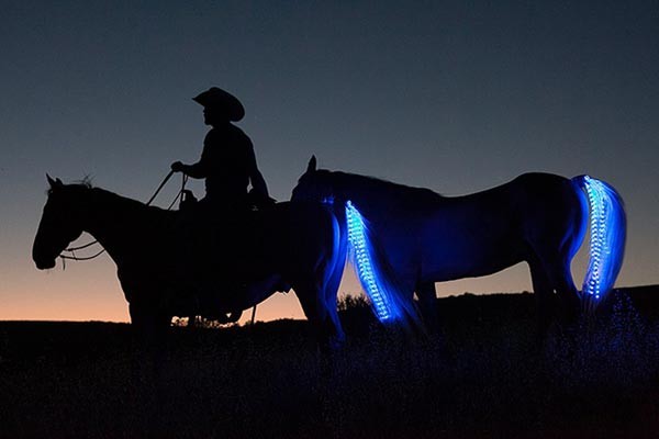 Tail Lights: een achterlicht voor op je paard