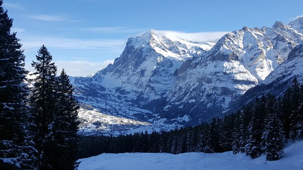 De epische wens van een Nederlander wordt vastgelegd in de sneeuw