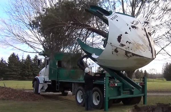 Deze innovatieve machine verplaatst bomen