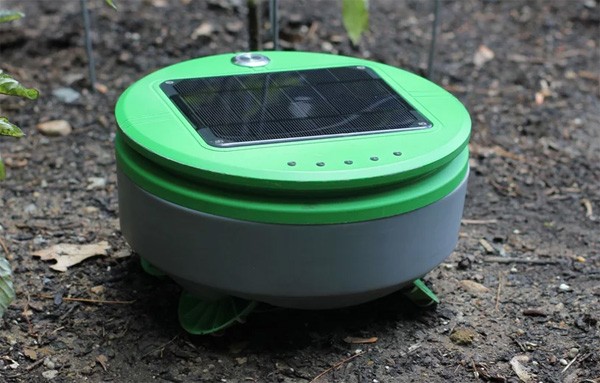 Tertill: een automatische onkruidrobot voor in de tuin