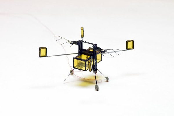 Nieuwe RoboBee kan zwemmen en opstijgen uit het water