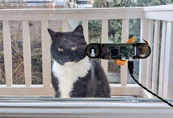 Knutselaar bouwt een gezichtsherkenningsysteem voor katten