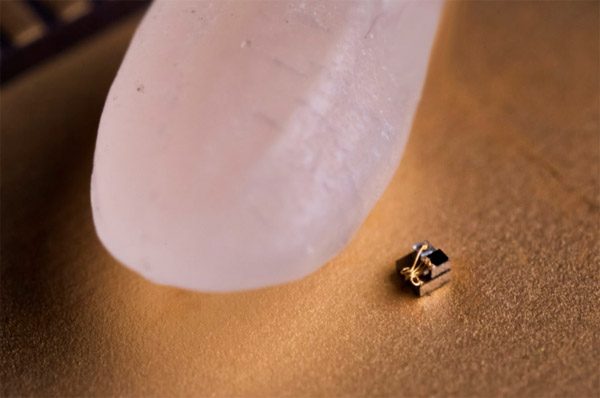 De kleinste computer ter wereld: een fractie van een rijstkorrel