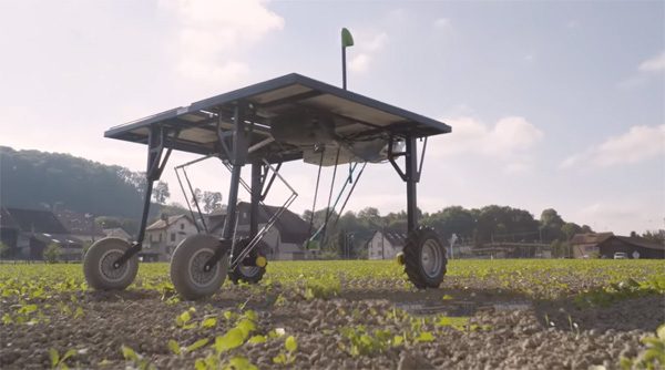 Deze robot verwijdert onkruid, zodat boeren minder gif nodig hebben