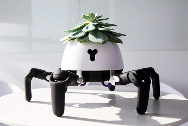 Deze zespotige robot draagt zorg voor jouw planten
