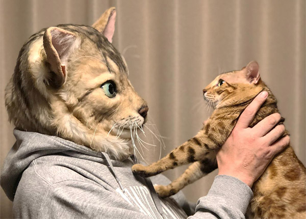 Senator største Kredsløb Japanse studio maakt maskers op basis van jouw kat
