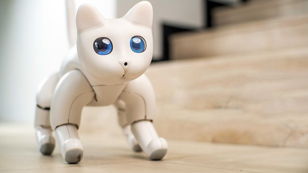 doneren oven weerstand bieden Je kunt op Kickstarter nu een robotkat reserveren